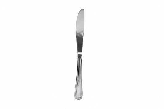 ITI 9" Dinner Knife with 18/8 Stainless Grade, Carlow Pattern (CA-331)